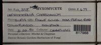 Image Associated With the Occurence